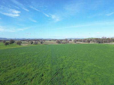 'Willowbank' Urana Road, Jindera