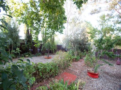 35 Williamson Street, Dookie