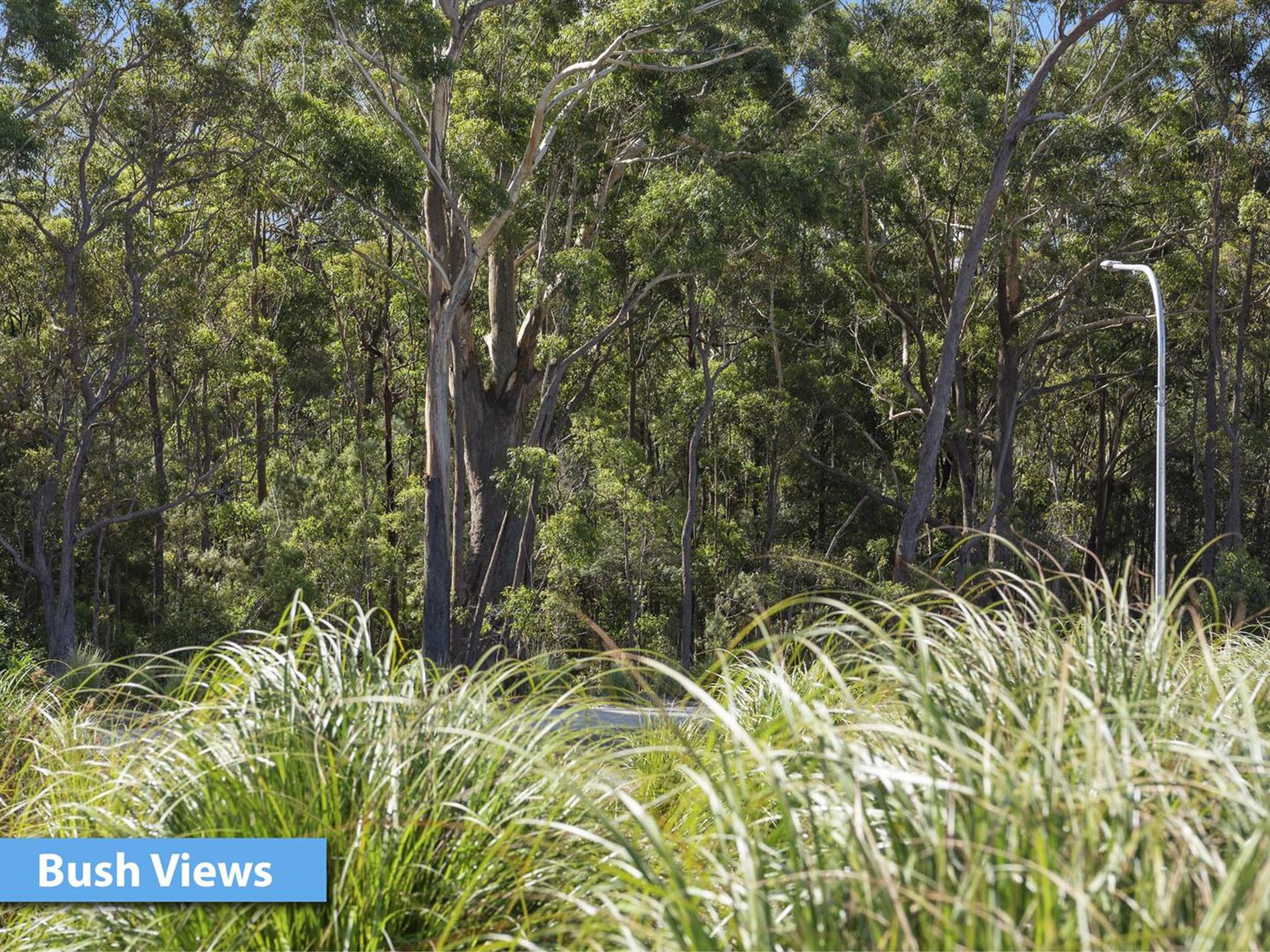 128 Seaspray Street, Narrawallee