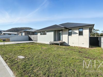 10 Bluetongue Drive, Magra