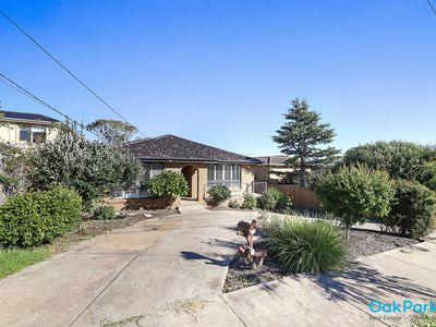 81 New Road, Oak Park