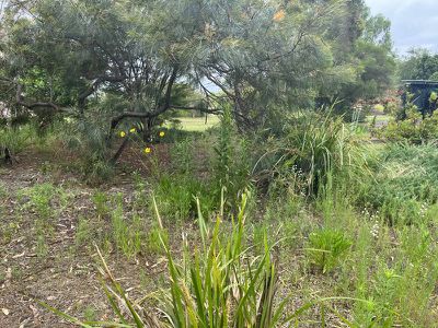 42 Arthur Street West, Nanango