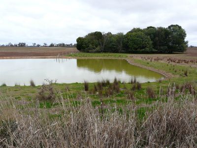 Lot 5, Vickers Road, Nagambie