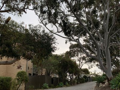 11 / 84 Stanley Street, Scarborough