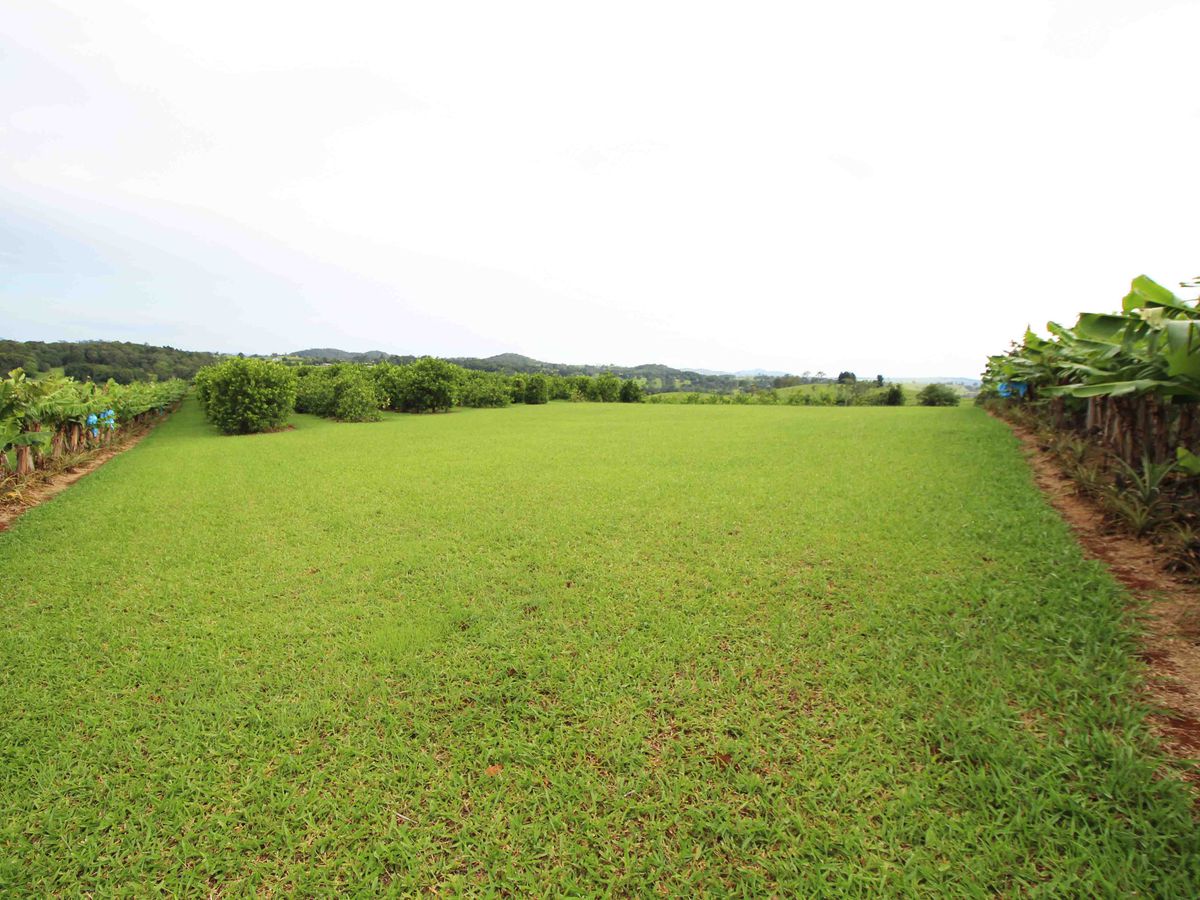 1654 MILLAA-MALANDA ROAD, Jaggan