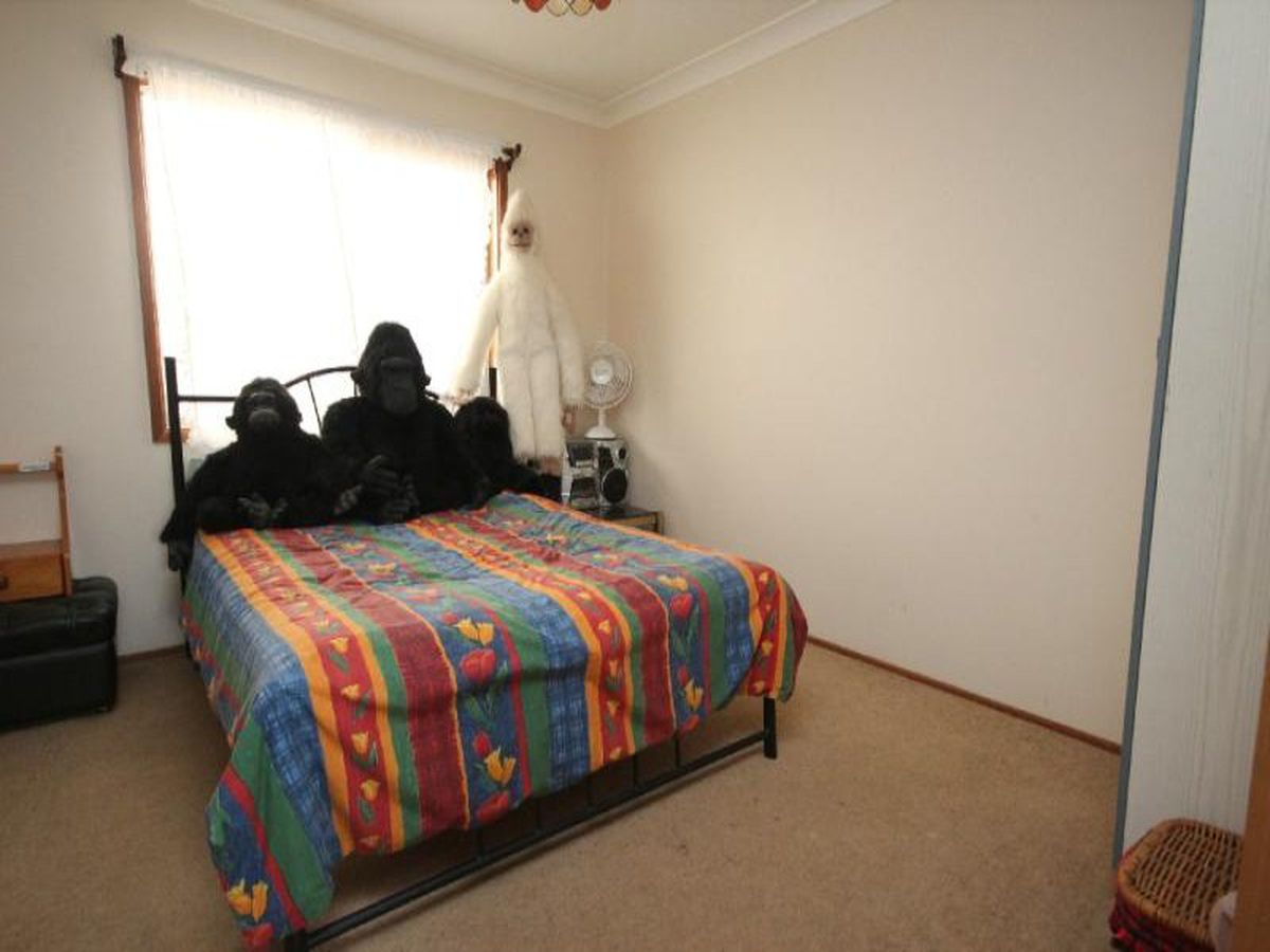 5 Gould Dr, Lemon Tree Passage, Lemon Tree Passage - Thumbnail 6