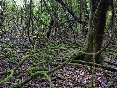 15 Old Kangaloon Road, Robertson