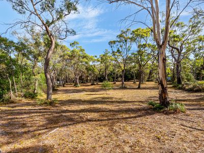 3A Correa Street, Primrose Sands