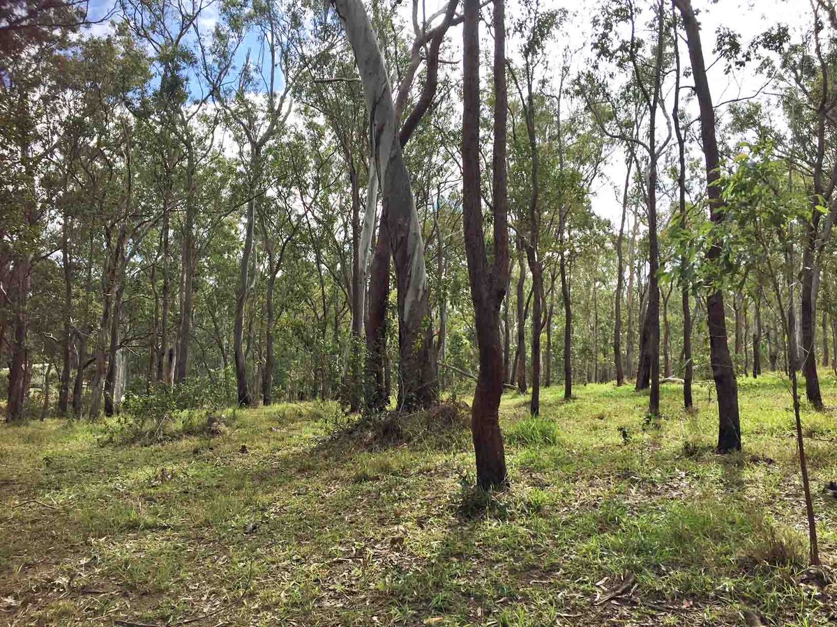 Lot 701-705, Rolley Road, Wondecla