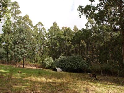25 Milford Road, Kaoota