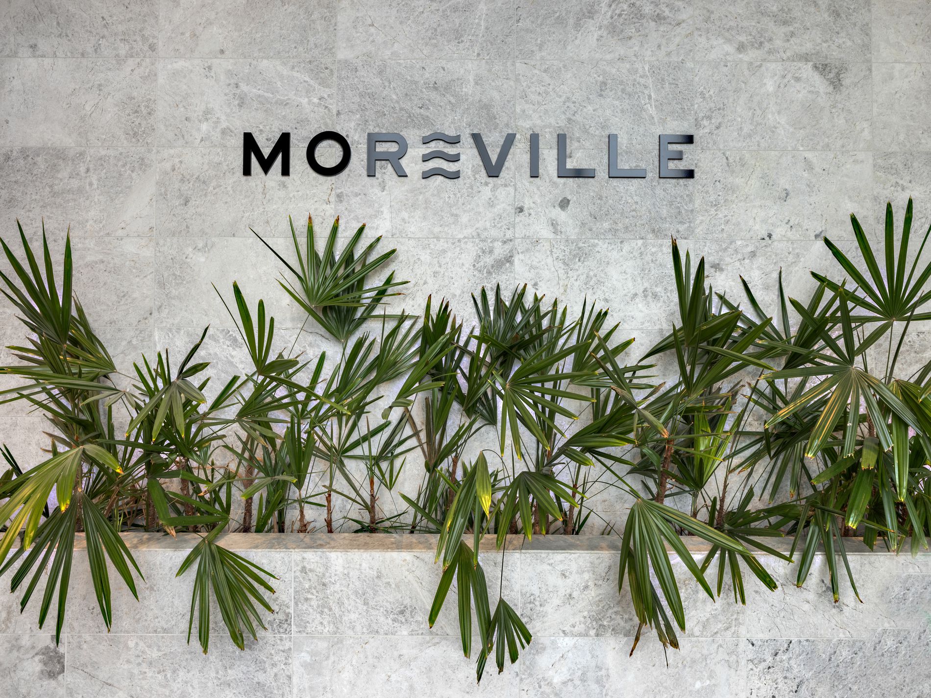 206 / 12 Napier Street, Footscray