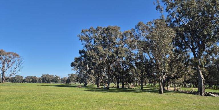 Lot 1  10 Dunnings Road, Balmattum