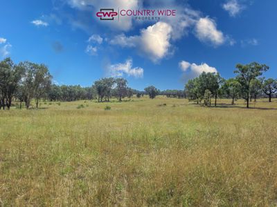 729 Wallangra Road, Ashford