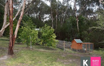 53 Lewis Road, Beaconsfield Upper