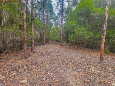 Lot 1, Link Road, Lonnavale