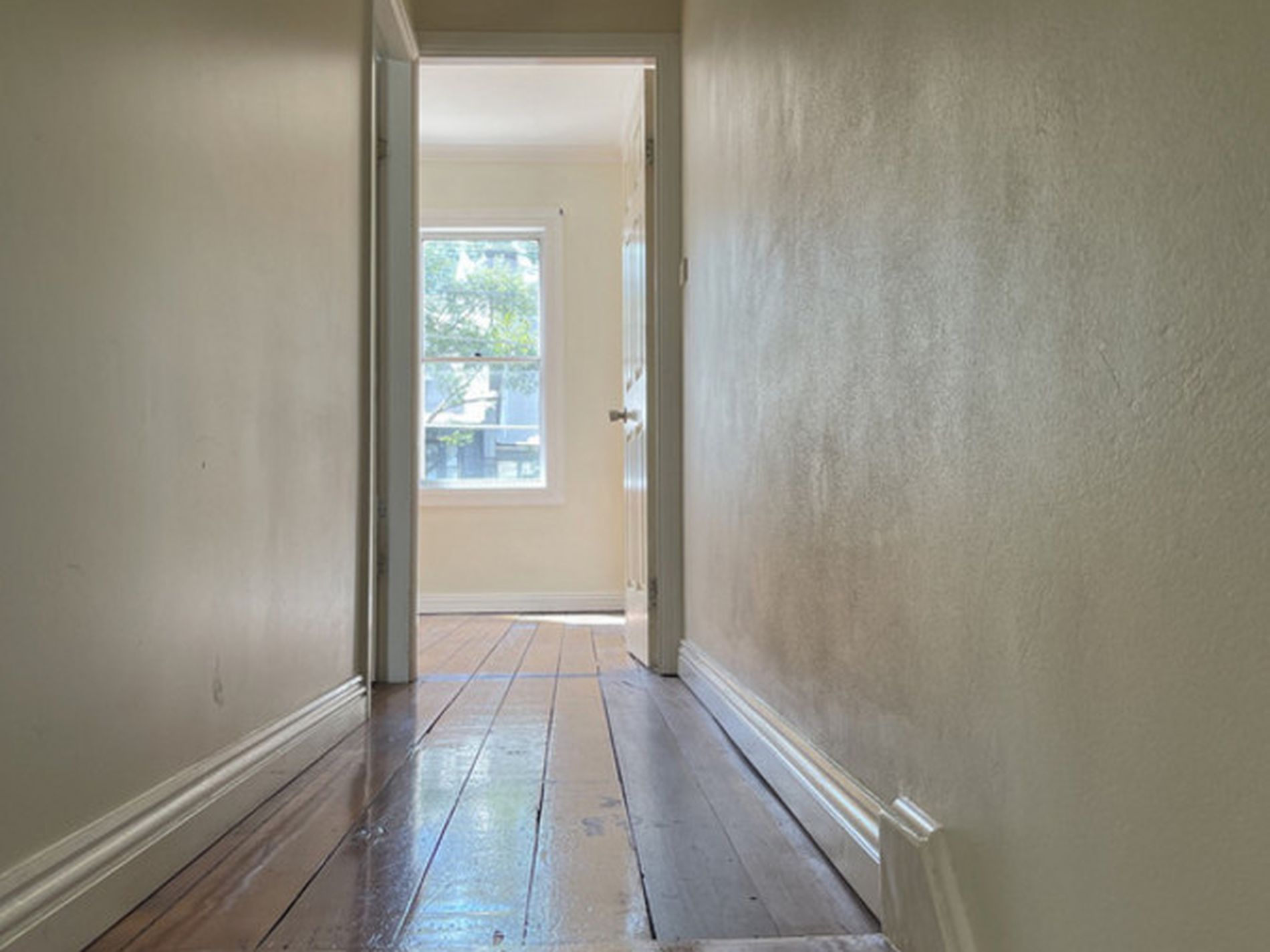 313 Cleveland Street, Redfern