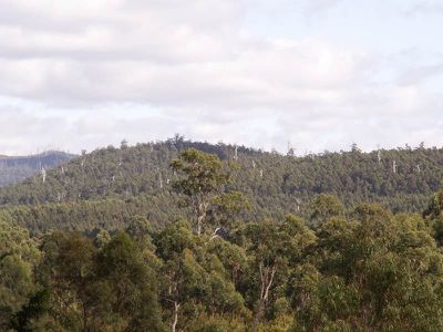 7736 Huon Highway, Strathblane