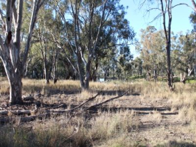 Lot 11, Moulamein