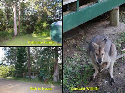 7 / 1157 Stony Chute Road, Nimbin