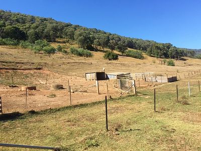 Running Springs - 447 Little Snowy Creek Rd, Eskdale