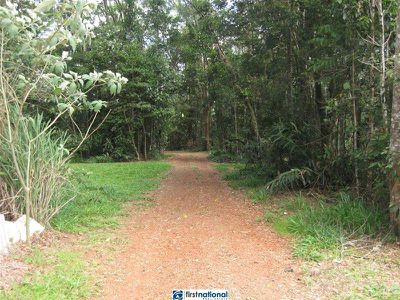 238 Winfield Road, Yungaburra