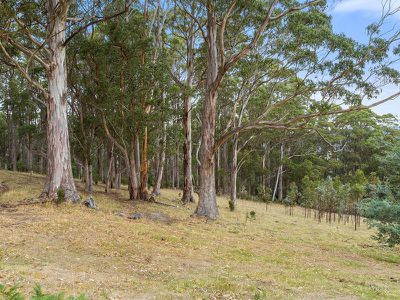 312 Silver Hill Road, Cygnet