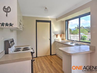 17 Golden Cane Avenue, North Nowra