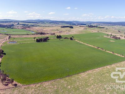 1067 Shannon Vale Road, Shannon Vale