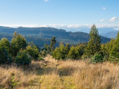 off Paddys Lane , Franklin