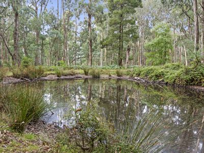 62 Shane Lane, Tolmie