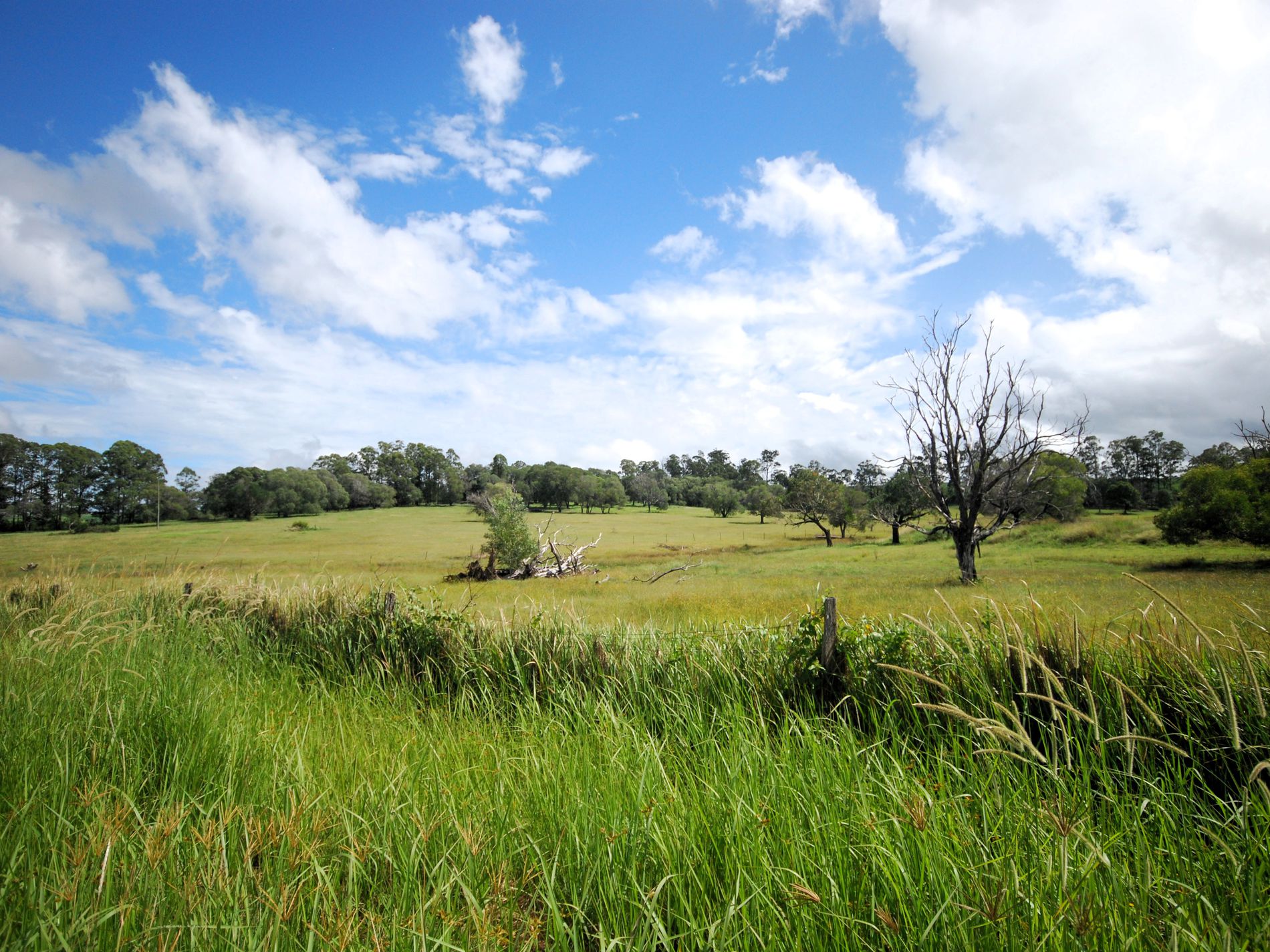 75 Jacobsens Road, Yerra