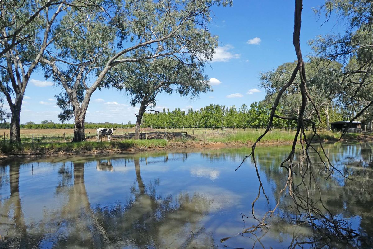 53 Howards Lane, Kyabram