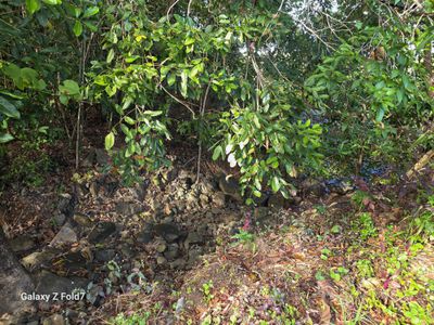 844 & 852 Endeavour Valley Road, Cooktown