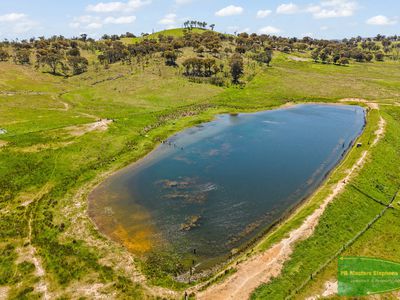 351 Shepherds Creek Road, Euchareena