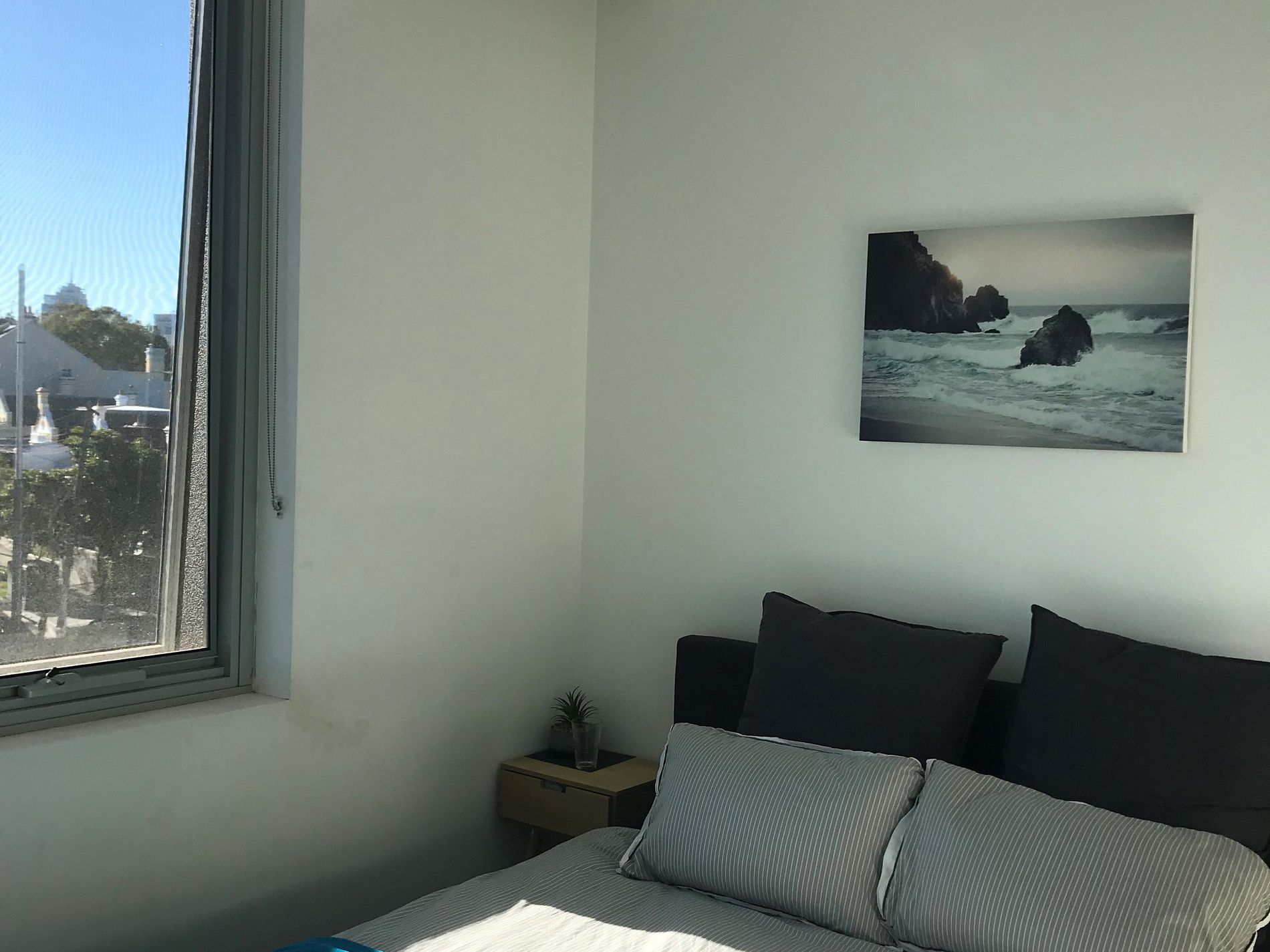 803 / 95 Ross Street, Forest Lodge