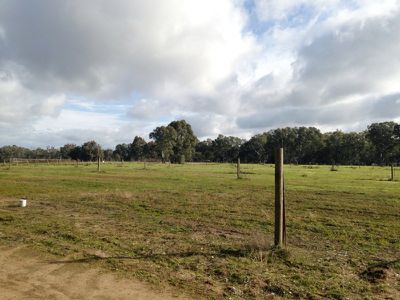. Reserve Road, Wahgunyah