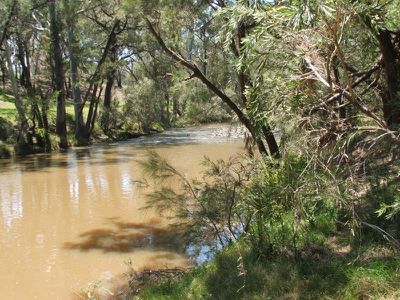 Mole River Road, Tenterfield