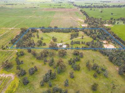 1255 Back Barooga Road, , Berrigan