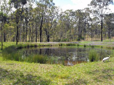 87 Thompson Road, Nanango