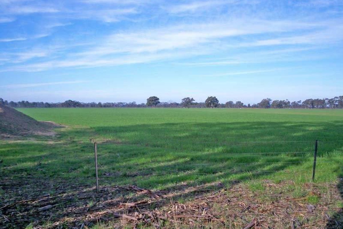 Cnr Davies Roads & Warren Roads, Undera