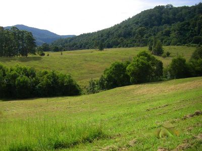 Lot 8 Tulsi Lane, Nimbin