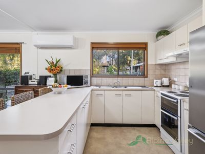 13 Saint Bernard Drive, Tawonga South