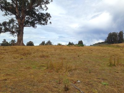 Lot 1, Harwoods Road, Castle Forbes Bay