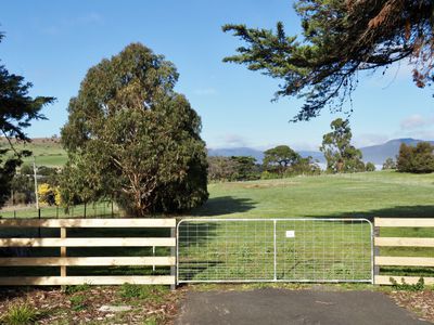 236 Tea Tree Road, Brighton