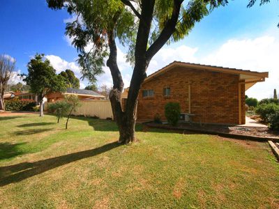 43 Palmer crescent, Gunnedah