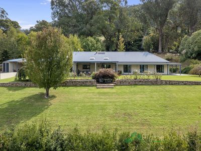 169 Simmonds Creek Road, Tawonga South