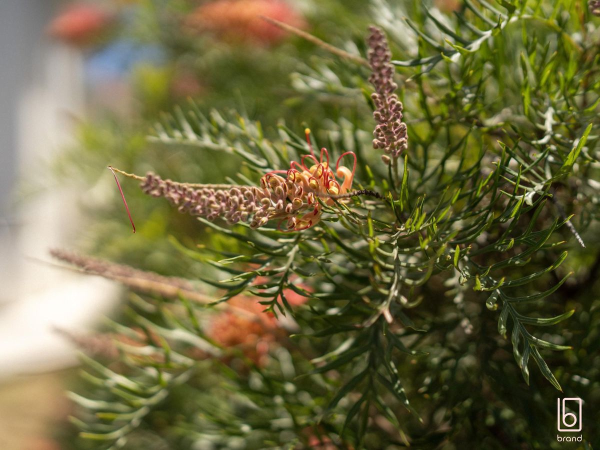 18 Eleanor Close, Hamlyn Terrace