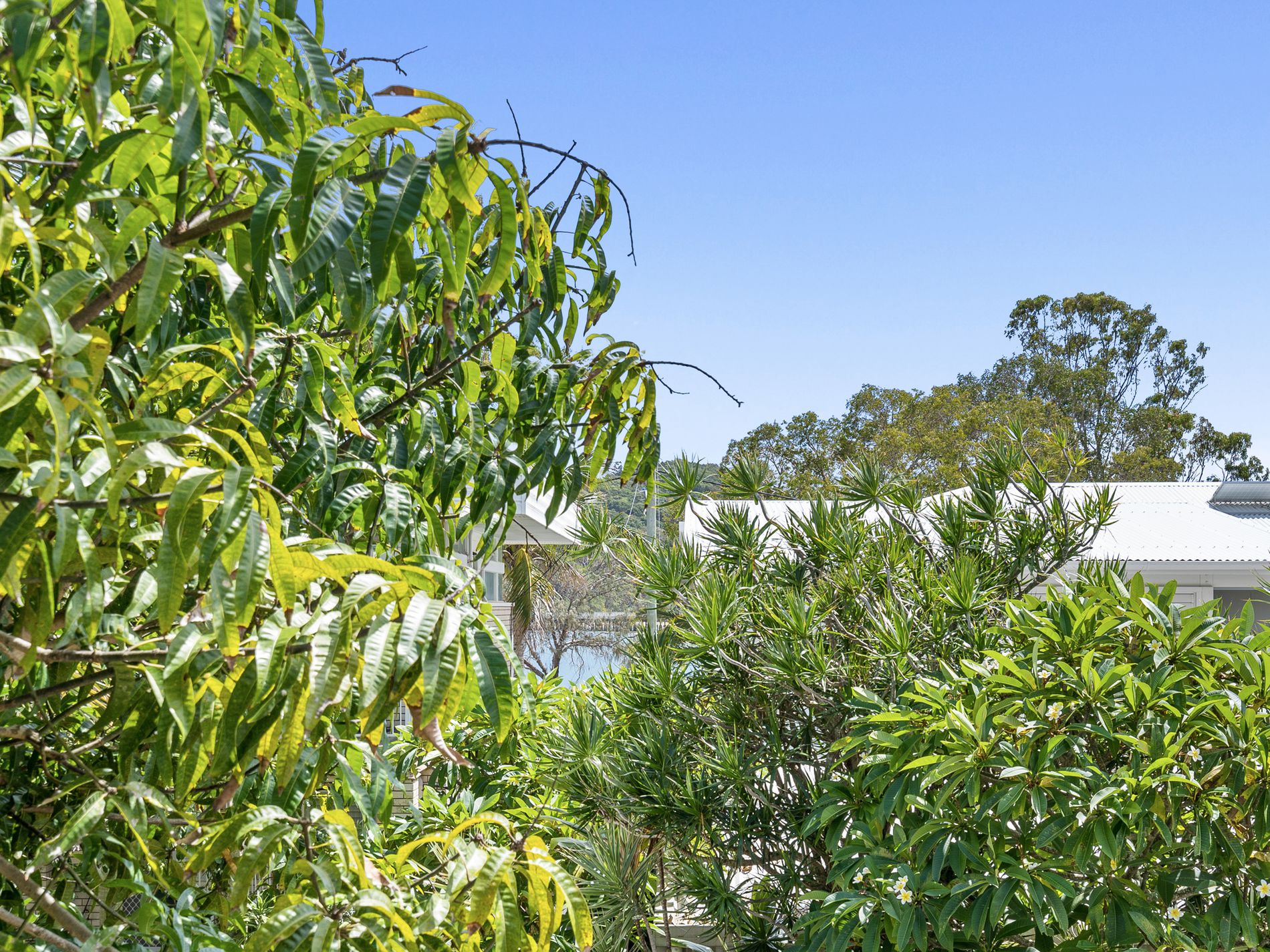 69 Tallebudgera Drive, Palm Beach