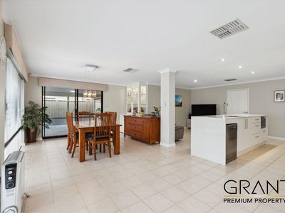 51 Jackadder Avenue, Hammond Park