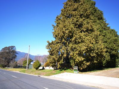 Lot 1, 14 Ryders Lane, Tawonga